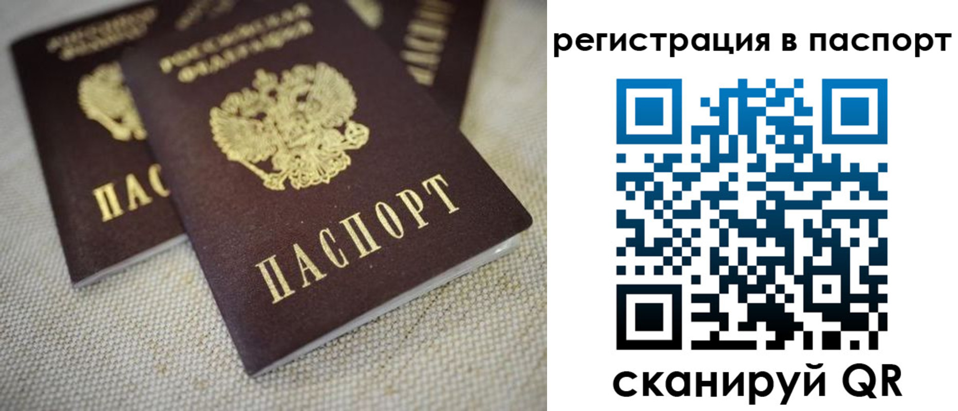 прописка гарантия в Судаке
